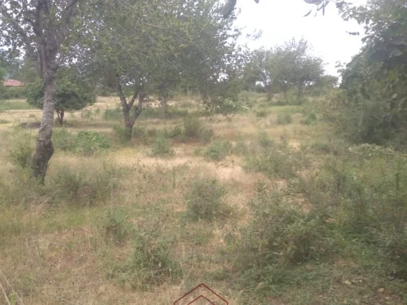 PRIME 10-ACRE STRATEGIC INVESTMENT LAND ON SULTAN, EMALI OFF MOMBASA ROAD