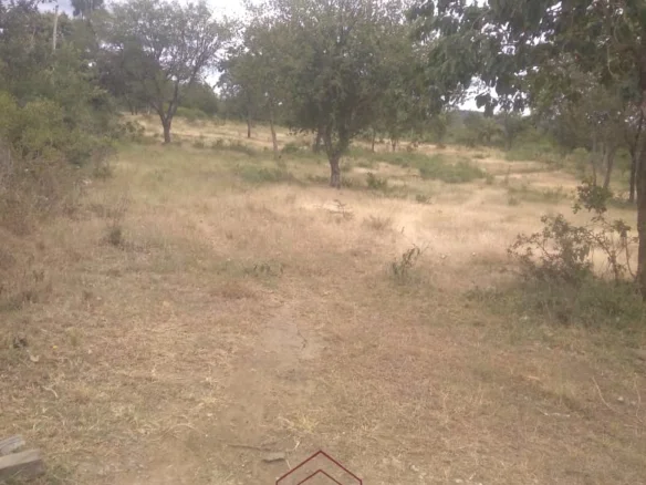 PRIME 10-ACRE STRATEGIC INVESTMENT LAND ON SULTAN, EMALI OFF MOMBASA ROAD