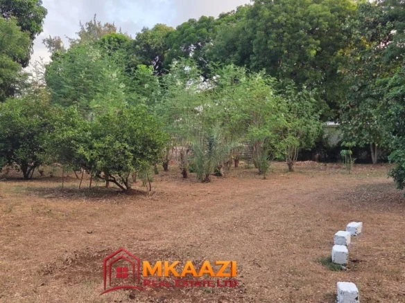 PRIME 12-ACRE MORINGA FARM FOR SALE IN MIJOMBONI, GEDE