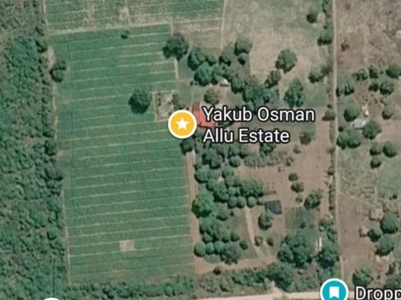 PRIME 12-ACRE MORINGA FARM FOR SALE IN MIJOMBONI, GEDE