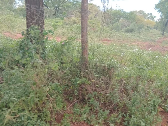 PRIME 1600-ACRE RANCH FOR SALE IN MAKUENI COUNTY 