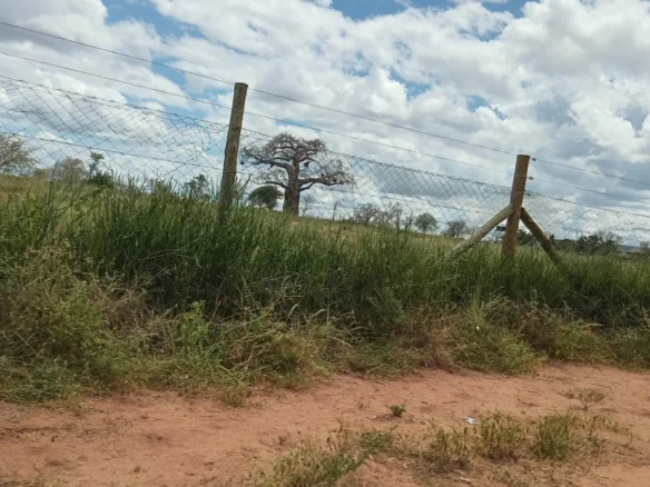 PRIME 1600-ACRE RANCH FOR SALE IN MAKUENI COUNTY 