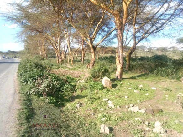 PRIME 25-ACRE HIGHWAY FRONTAGE LAND IN NAIVASHA, MOI SOUTH ROAD