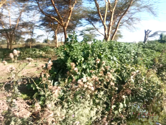 PRIME 25-ACRE HIGHWAY FRONTAGE LAND IN NAIVASHA, MOI SOUTH ROAD