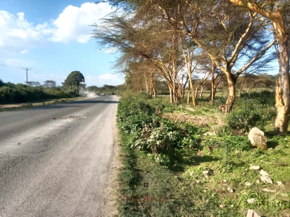 PRIME 25-ACRE HIGHWAY FRONTAGE LAND IN NAIVASHA, MOI SOUTH ROAD