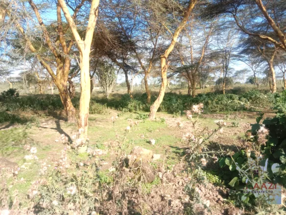 PRIME 25-ACRE HIGHWAY FRONTAGE LAND IN NAIVASHA, MOI SOUTH ROAD