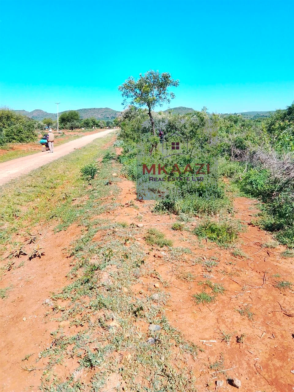 PRIME 2500-ACRE AGRICULTURAL LAND IN SOLAI