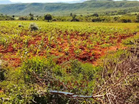 PRIME 2500-ACRE AGRICULTURAL LAND IN SOLAI
