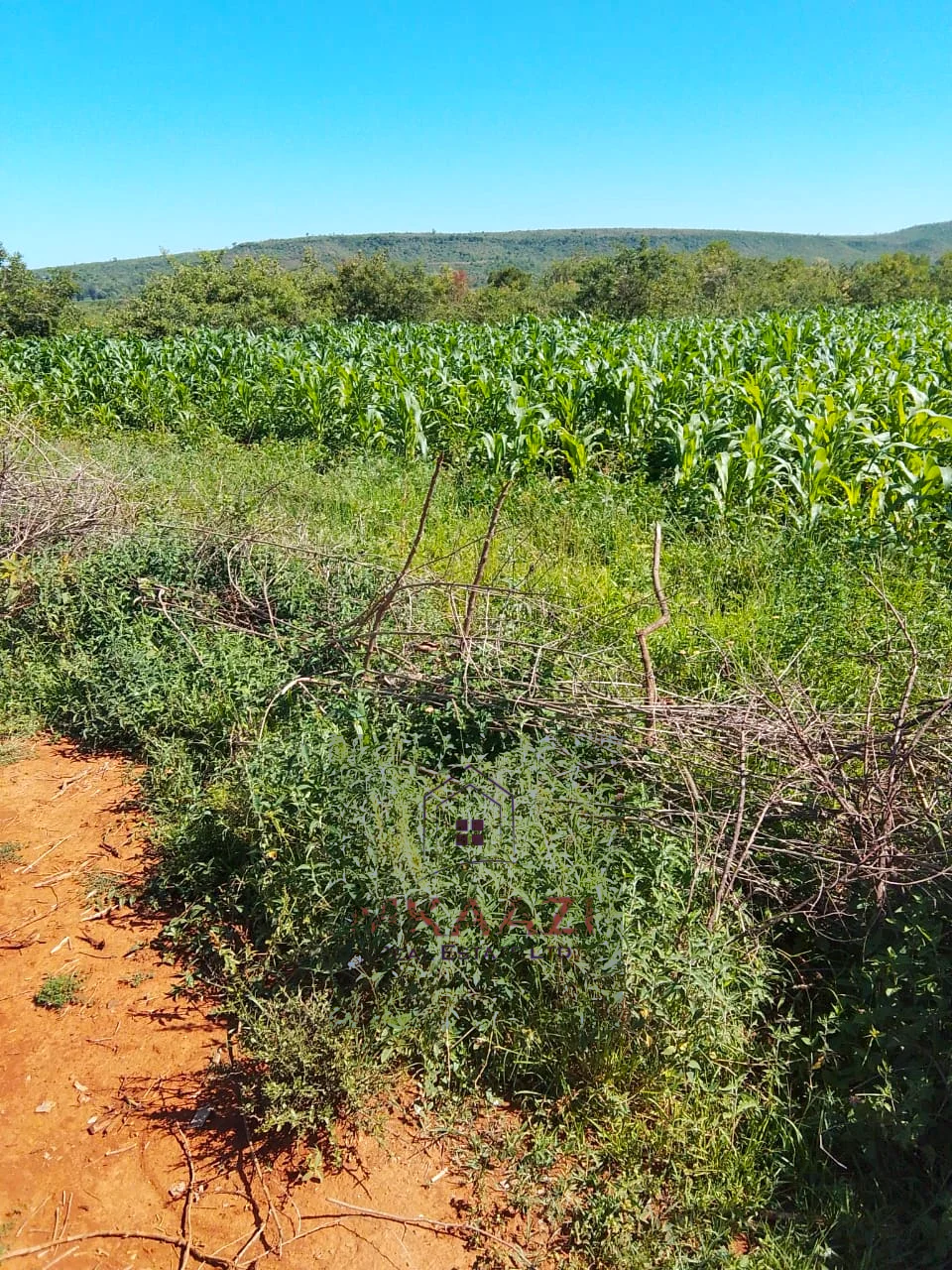 PRIME 2500-ACRE AGRICULTURAL LAND IN SOLAI