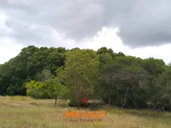PRIME 26000-ACRE INVESTMENT LAND IN LAMU COUNTY, ALONG THE LAPSSET CORRIDOR