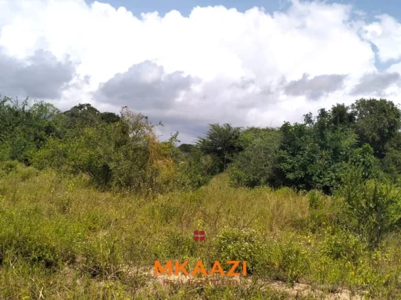 PRIME 26000-ACRE INVESTMENT LAND IN LAMU COUNTY, ALONG THE LAPSSET CORRIDOR