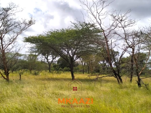 PRIME 26000-ACRE INVESTMENT LAND IN LAMU COUNTY, ALONG THE LAPSSET CORRIDOR