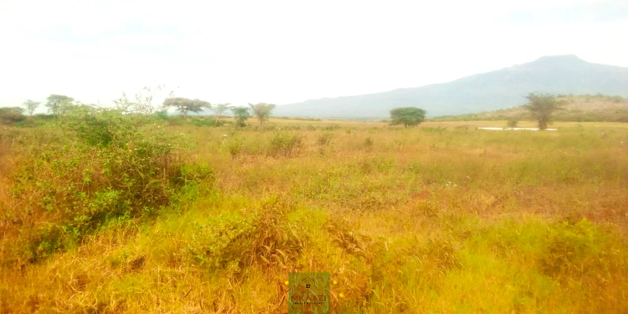 PRIME 393-ACRE AGRICULTURAL& INVESTMENT ESTATE IN LOITOKITOK ROMBO