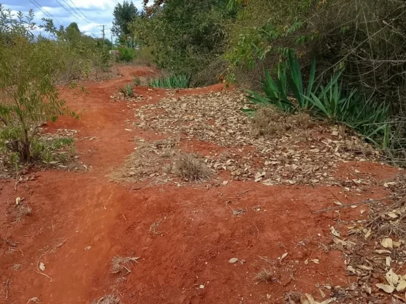 PRIME 4.5 ACRES IN GACHOKA, EMBU - TARMAC ROAD FRONTAGE
