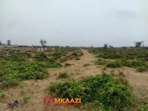 PRIME 4.6-ACRE BEACH PLOT FOR SALE IN WATAMU