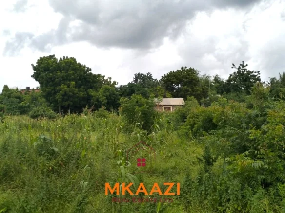 PRIME 40*80 PLOT FOR SALE - CYCAD ROAD, CASUARINA, MALINDI