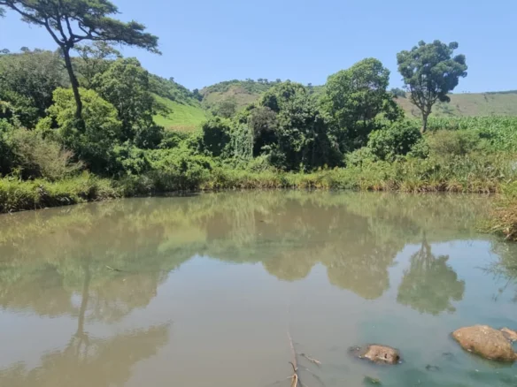 PRIME 500-FREEHOLD RANCH :AGRICULTURAL AND INVESTMENT LAND