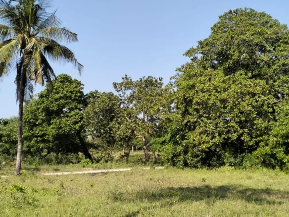 PRIME 6-ACRE LAND WITH 2-BEDROOM HOUSE IN MSABAHA, MALINDI