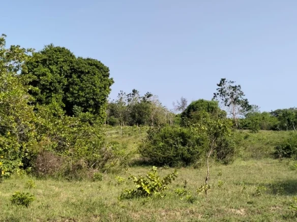 PRIME 6-ACRE LAND WITH 2-BEDROOM HOUSE IN MSABAHA, MALINDI