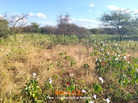 PRIME 7-ACRE FREEHOLD AGRICULTURAL LAND IN MEGUMI, KAJIADO