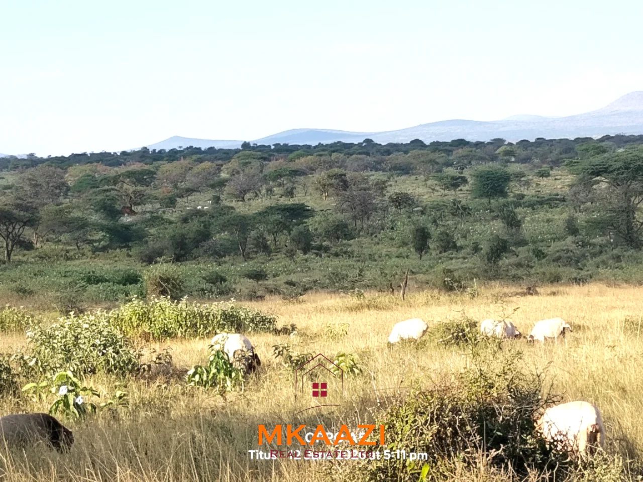 PRIME 7-ACRE FREEHOLD AGRICULTURAL LAND IN MEGUMI, KAJIADO
