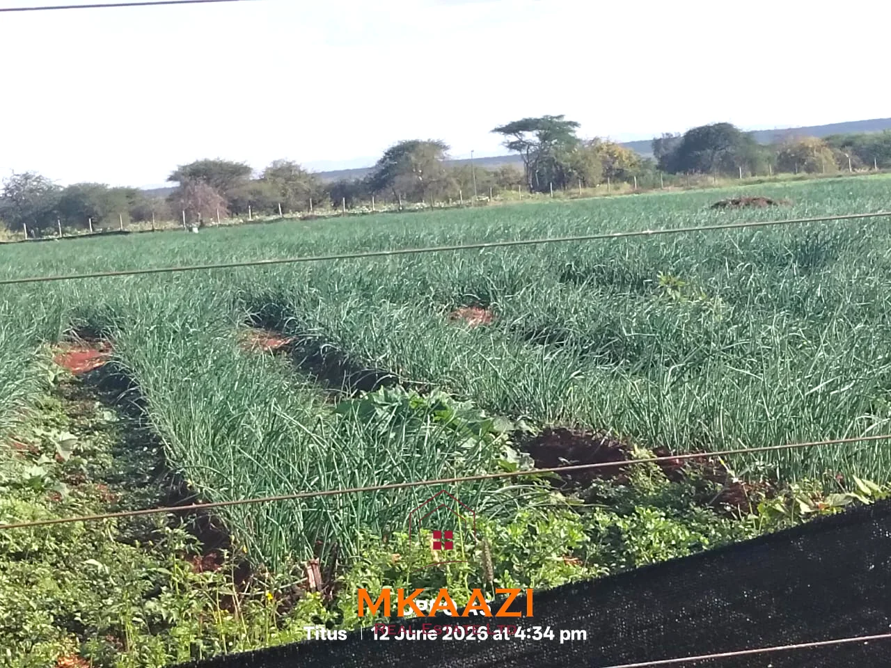 PRIME 7-ACRE FREEHOLD AGRICULTURAL LAND IN MEGUMI, KAJIADO