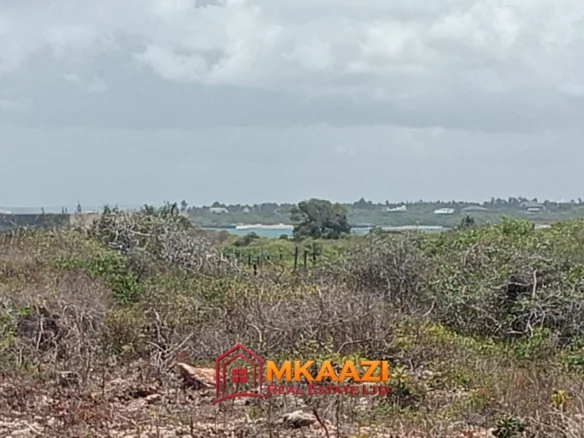 PRIME BEACHFRONT PLOTS AND LAND FOR SALE IN MATSANGONI, MALINDI