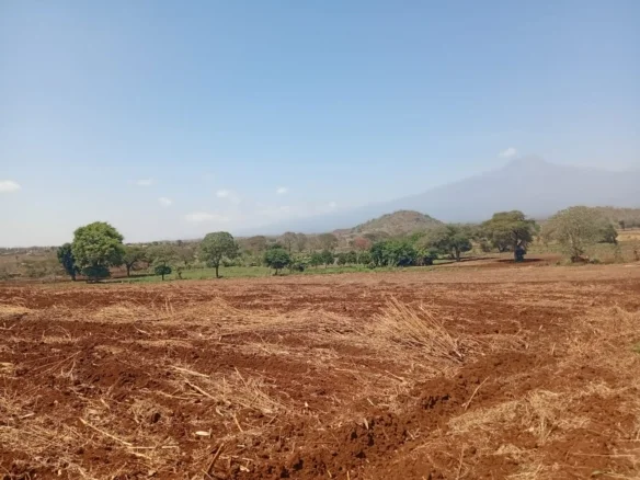 PRIME FREEHOLD LAND IN KIMANA, KAJIADO COUNTY-MT KILIMANJARO VIEWS 