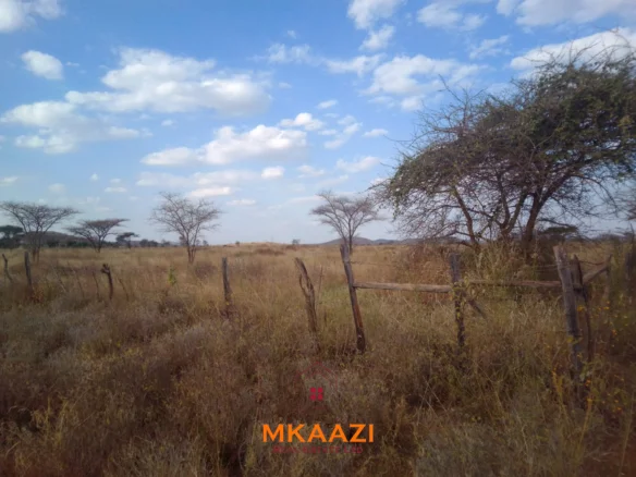 PRIME PLOTS FOR SALE AT 10514 (TITEEYIO HUB) ALONG EMALI-LOITOKTOK ROAD