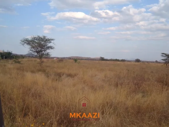 PRIME PLOTS FOR SALE AT 10514 (TITEEYIO HUB) ALONG EMALI-LOITOKTOK ROAD