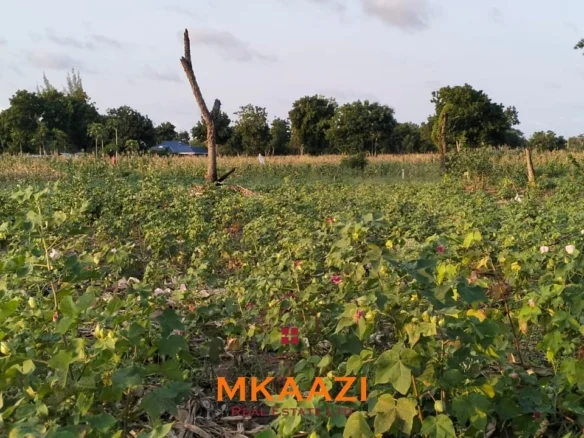 PRIME PLOTS FOR SALE IN HINDI RESERVE, LAMU