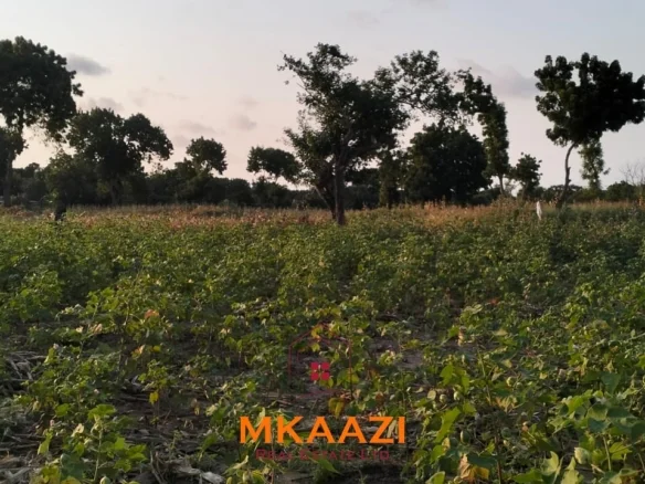 PRIME PLOTS FOR SALE IN HINDI RESERVE, LAMU