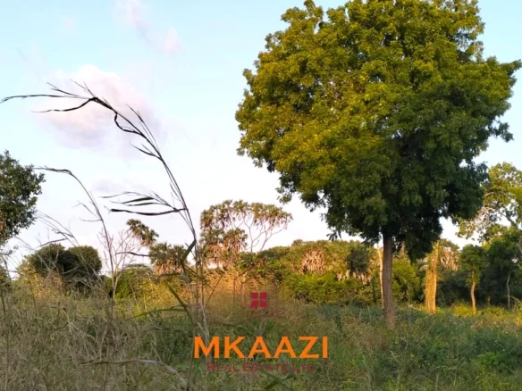 PRIME PLOTS FOR SALE IN HINDI RESERVE, LAMU
