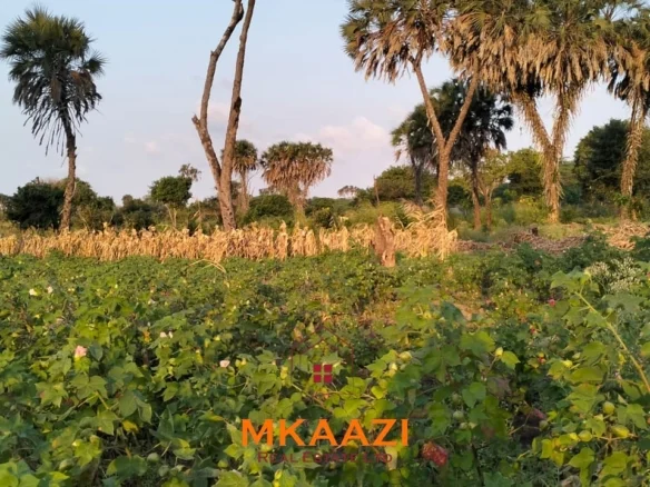 PRIME PLOTS FOR SALE IN HINDI RESERVE, LAMU