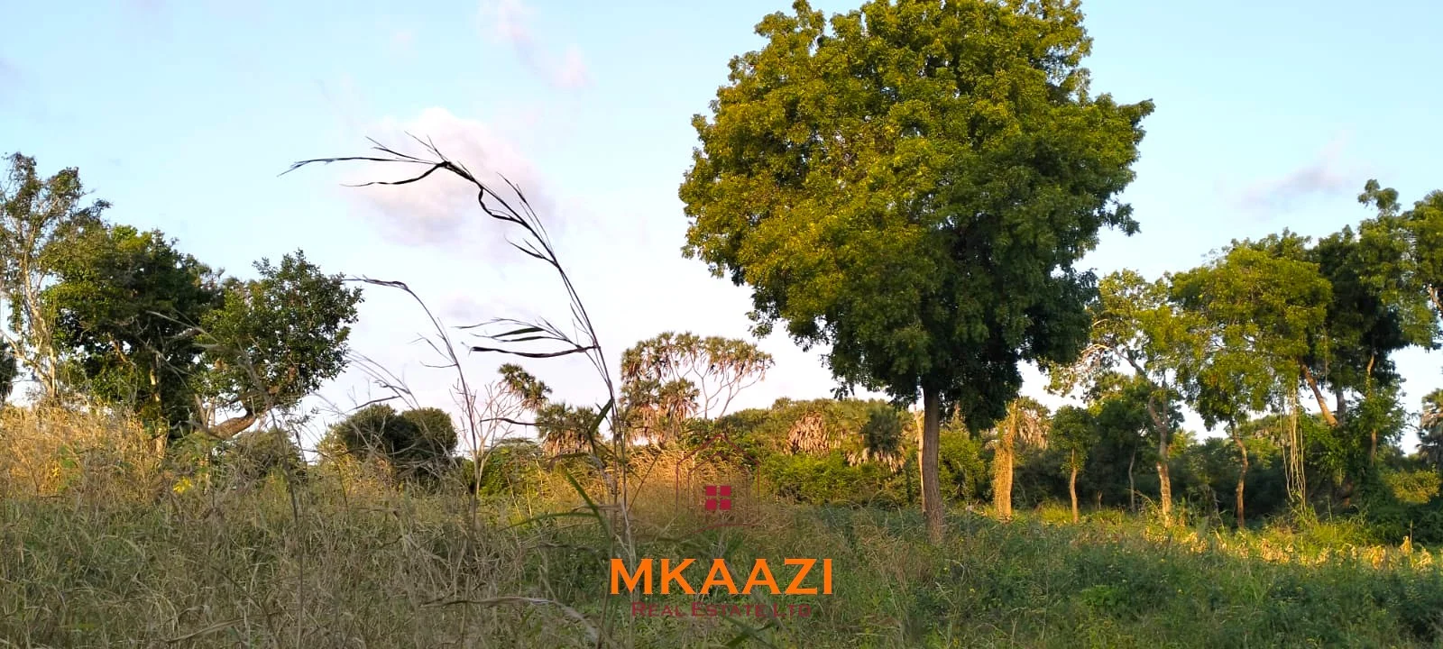 PRIME PLOTS FOR SALE IN HINDI RESERVE, LAMU