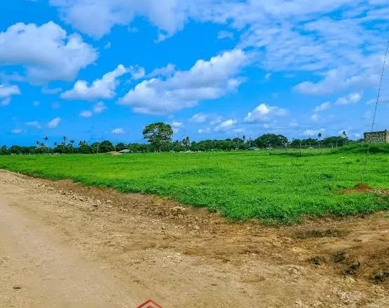 PRIME QUARTER-ACRE PLOT FOR SALE-KWANZA CITY,MALINDI