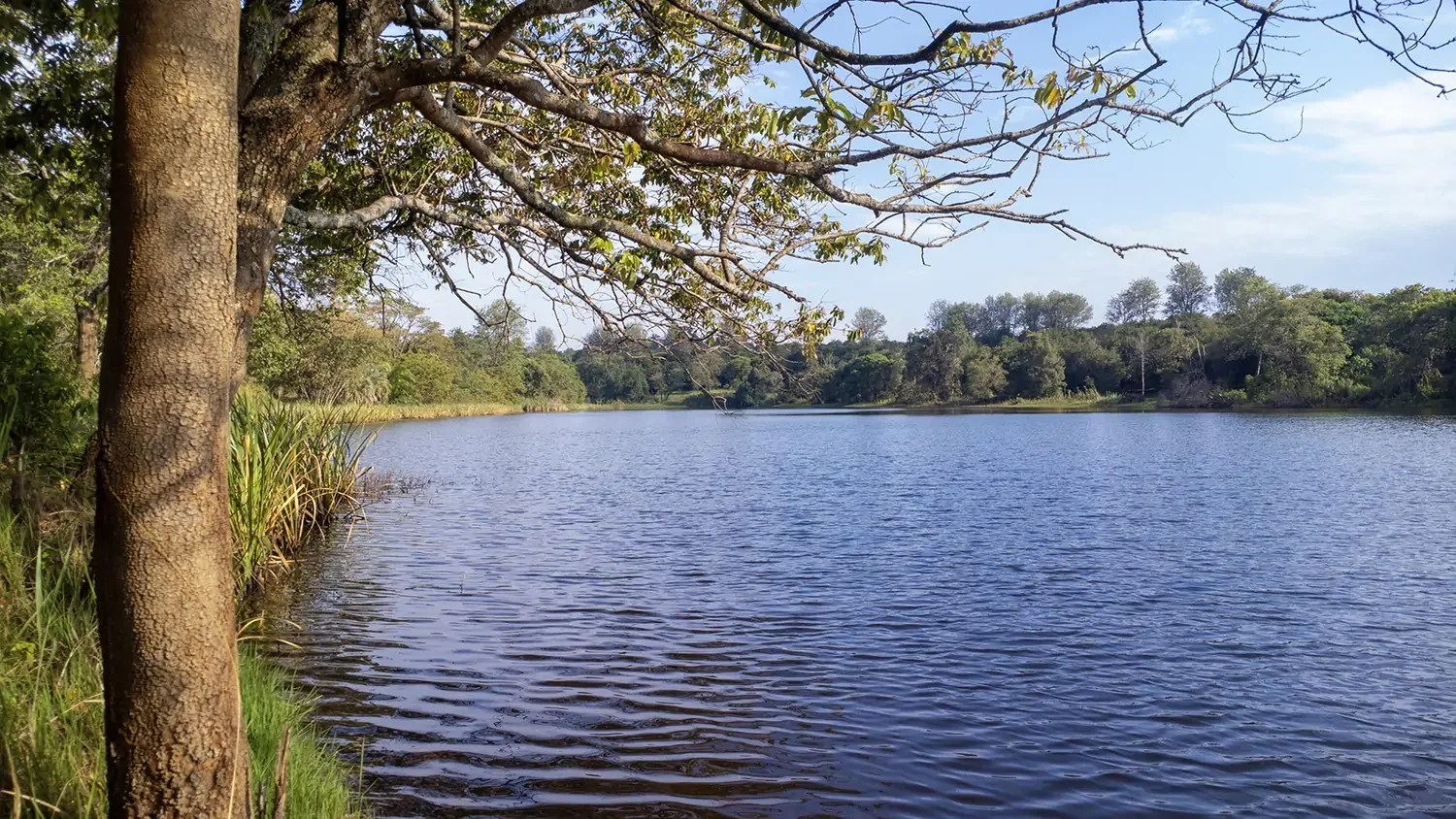 PRIME SERVICED 1/4 - ACRE PLOTS IN KIAMBU COUNTY