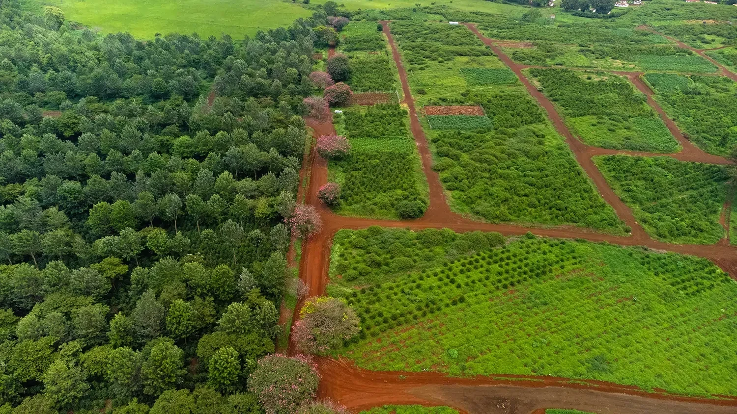 PRIME SERVICED 1/4 - ACRE PLOTS IN KIAMBU COUNTY
