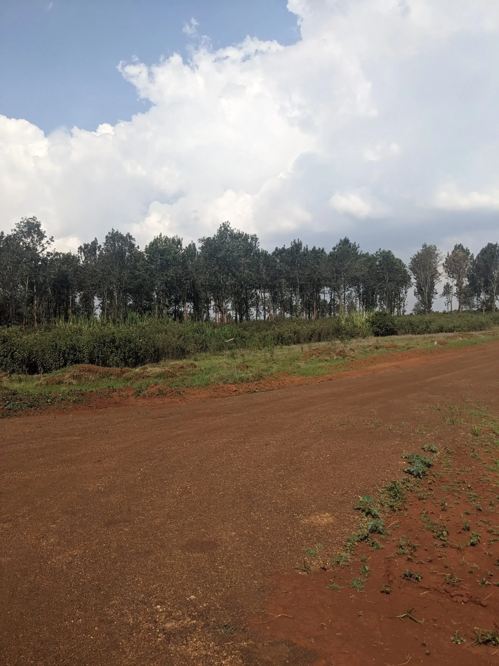 SEMI-SERVICED 1/8 ACRE RESIDENTIAL PLOTS