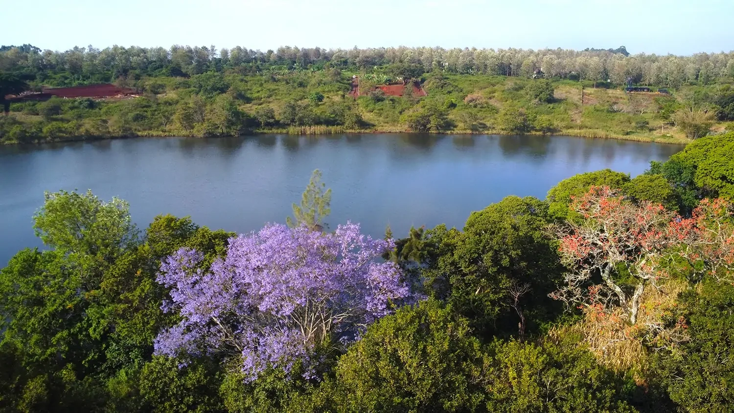 SEMI-SERVICED 1/8 ACRE RESIDENTIAL PLOTS