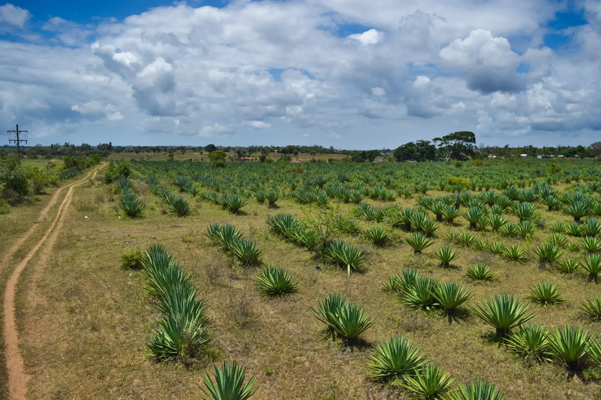 SUNSET CREEK KILIFI-SERVICED 1/4 - ACRE RESIDENTIAL PLOTS